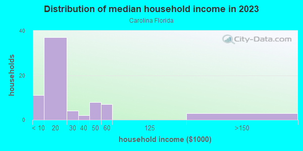Household income distribution in 2013 in Carolina Florida in Orlando neighborhood in FL