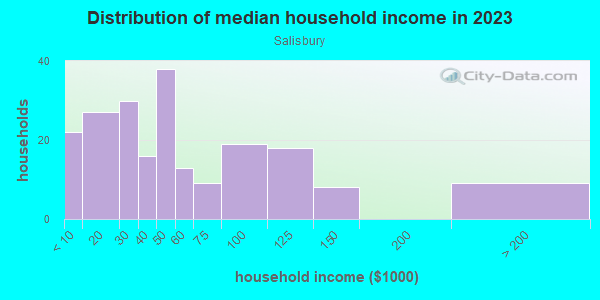 Household income distribution in 2013 in Salisbury in Orlando neighborhood in FL