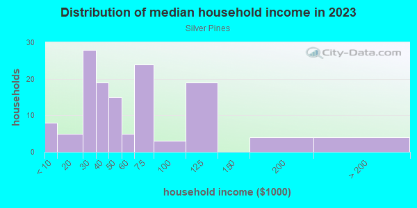 Household income distribution in 2013 in Silver Pines in Orlando neighborhood in FL