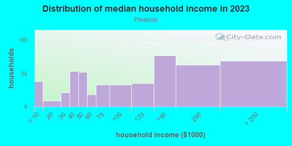 Household income distribution in 2013 in Pineloch in Orlando neighborhood in FL