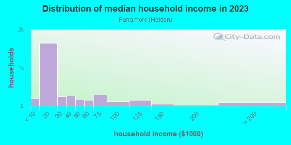 Household income distribution in 2013 in Parramore in Orlando neighborhood in FL