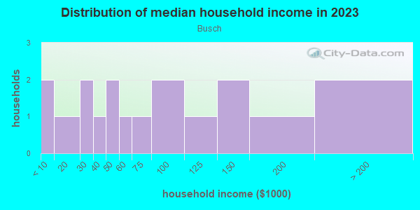 Household income distribution in 2013 in Busch in Orlando neighborhood in FL