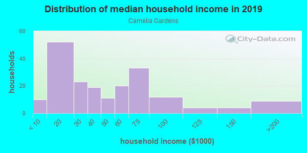 Household income distribution in 2013 in Camelia Gardens in Orlando neighborhood in FL