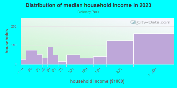 Household income distribution in 2013 in Delaney Park in Orlando neighborhood in FL