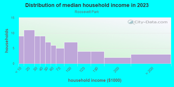 Household income distribution in 2013 in Roosevelt Park in Orlando neighborhood in FL