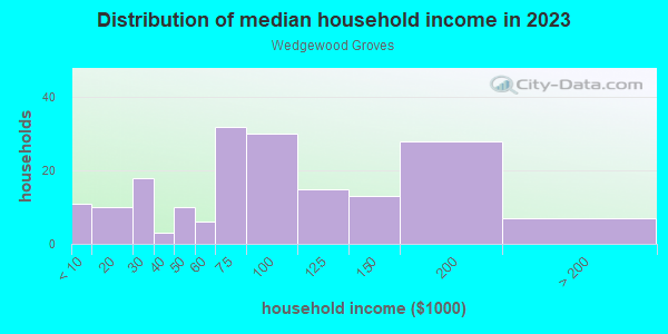 Household income distribution in 2013 in Wedgewood Groves in Orlando neighborhood in FL