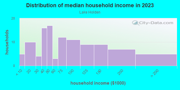 Household income distribution in 2013 in Lake Holden in Orlando neighborhood in FL