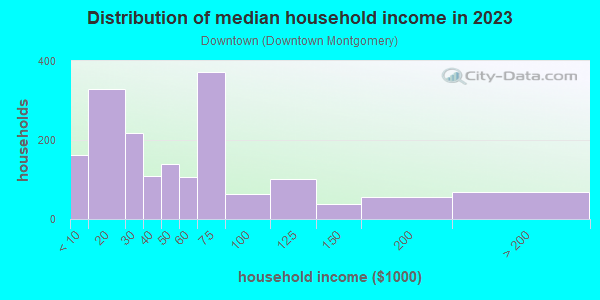 Household income distribution in 2013 in Downtown in Montgomery neighborhood in AL