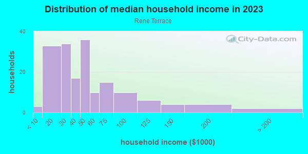 Household income distribution in 2013 in Rene Terrace in Kissimmee neighborhood in FL