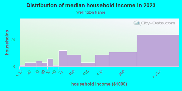Household income distribution in 2013 in Wellington Manor in Lutz neighborhood in FL