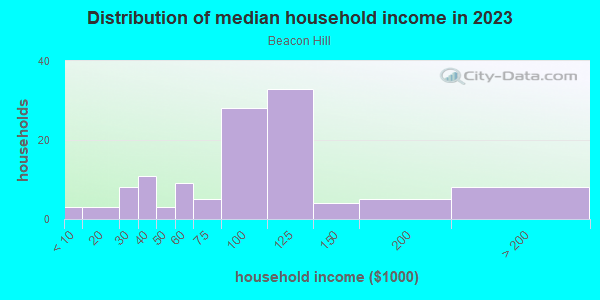 Household income distribution in 2013 in Beacon Hill in Lakeland neighborhood in FL