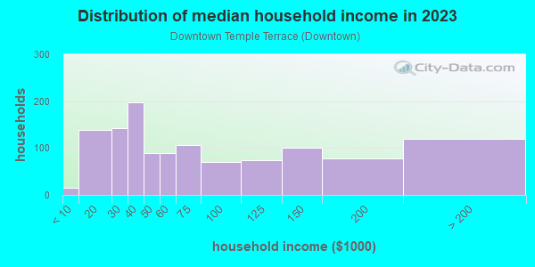 Household income distribution in 2013 in Downtown Temple Terrace in Tampa neighborhood in FL