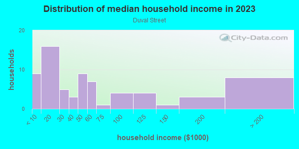 Household income distribution in 2013 in Duval Street in Key West neighborhood in FL