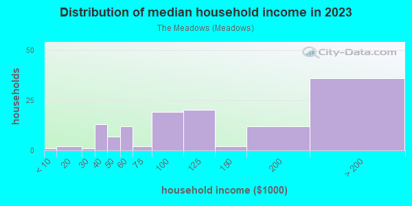 Household income distribution in 2013 in The Meadows in Key West neighborhood in FL