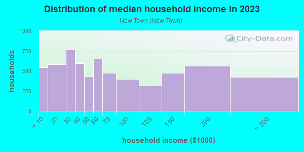 Household income distribution in 2013 in New Town in Key West neighborhood in FL