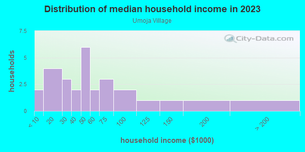 Household income distribution in 2013 in Umoja Village in Miami neighborhood in FL