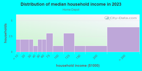 Household income distribution in 2013 in Home Depot in Fort Myers neighborhood in FL