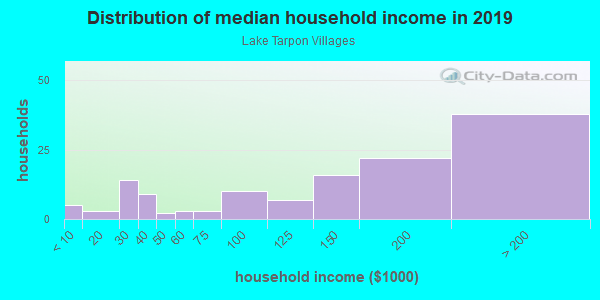 Household income distribution in 2013 in Lake Tarpon Villages in Palm Harbor neighborhood in FL