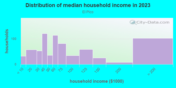 Household income distribution in 2013 in El Pico in Spring Hill neighborhood in FL