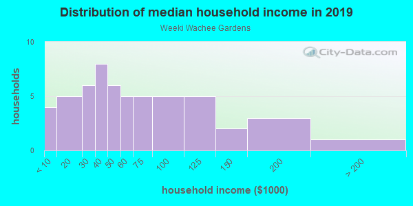 Household income distribution in 2013 in Weeki Wachee Gardens in Spring Hill neighborhood in FL