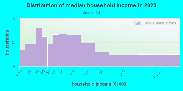 Household income distribution in 2013 in Spring Hill in Spring Hill neighborhood in FL
