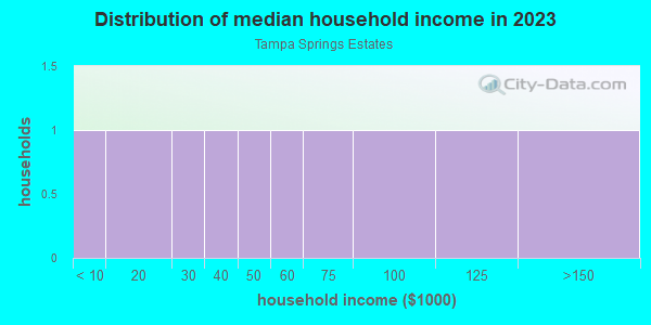 Household income distribution in 2013 in Tampa Springs Estates in Tampa neighborhood in FL
