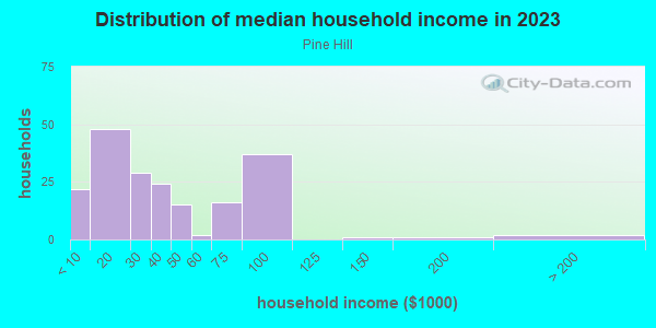 Household income distribution in 2013 in Pine Hill in Columbus neighborhood in GA
