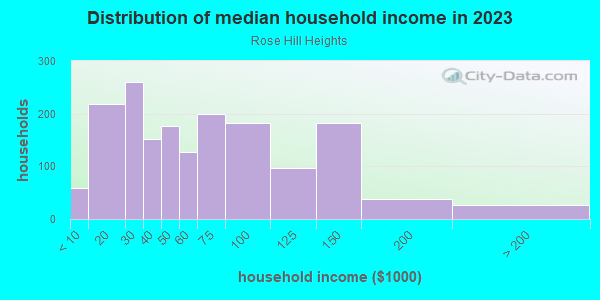 Household income distribution in 2013 in Rose Hill Heights in Columbus neighborhood in GA