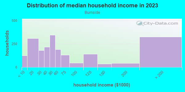 Household income distribution in 2013 in Burnside in Chicago neighborhood in IL