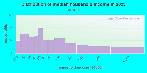 Household income distribution in 2013 in Roseland in Chicago neighborhood in IL