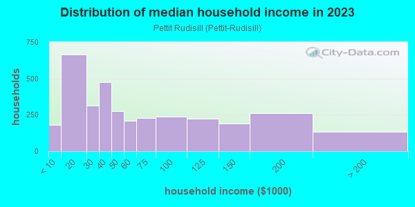 Household income distribution in 2013 in Pettit Rudisill in Fort Wayne neighborhood in IN