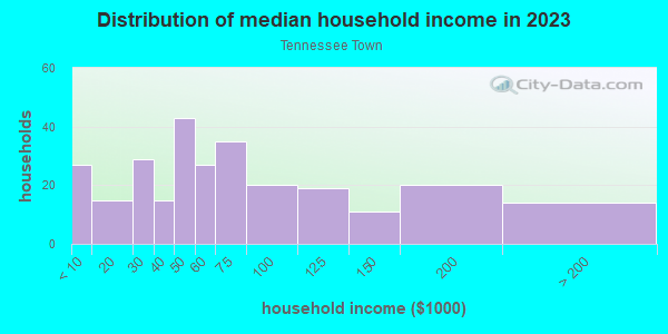 Household income distribution in 2013 in Tennessee Town in Topeka neighborhood in KS