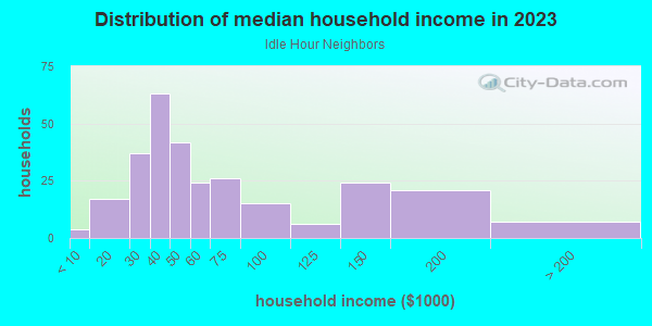 Household income distribution in 2013 in Idle Hour Neighbors in Lexington neighborhood in KY