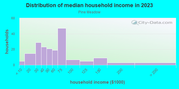 Household income distribution in 2013 in Pine Meadow in Lexington neighborhood in KY
