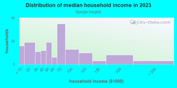 Household income distribution in 2013 in Speigle Heights in Lexington neighborhood in KY