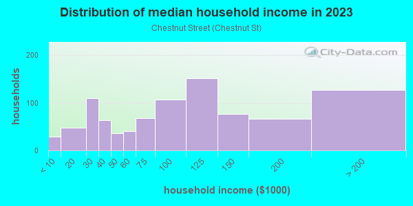 Household income distribution in 2013 in Chestnut Street in Salem neighborhood in MA
