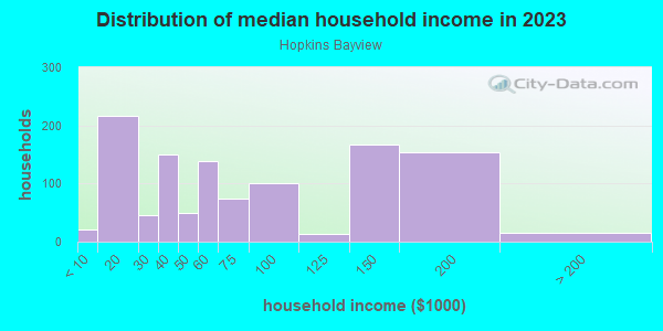 Household income distribution in 2013 in Hopkins Bayview in Baltimore neighborhood in MD