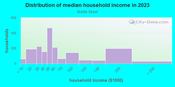 Household income distribution in 2013 in Biddle Street in Baltimore neighborhood in MD