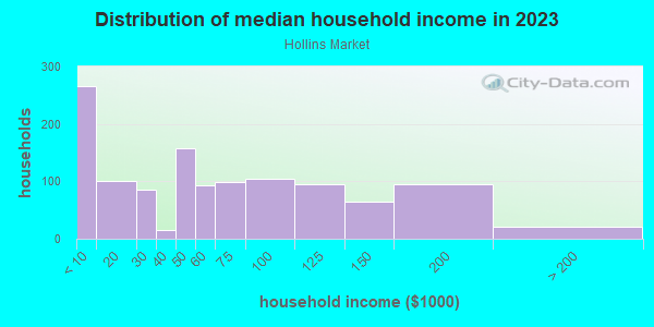 Household income distribution in 2013 in Hollins Market in Baltimore neighborhood in MD