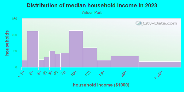 Household income distribution in 2013 in Wilson Park in Baltimore neighborhood in MD