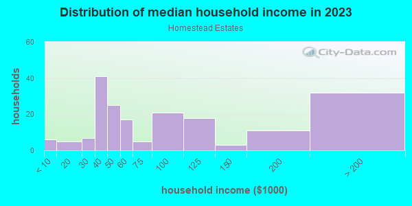 Household income distribution in 2013 in Homestead Estates in Silver Spring neighborhood in MD