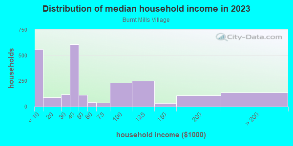 Household income distribution in 2013 in Burnt Mills Village in Silver Spring neighborhood in MD