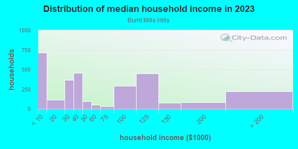 Household income distribution in 2013 in Burnt Mills Hills in Silver Spring neighborhood in MD