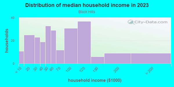 Household income distribution in 2013 in Black Hills in Grand Rapids neighborhood in MI