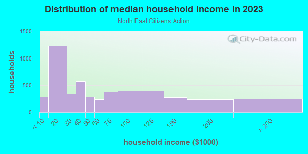 Household income distribution in 2013 in North East Citizens Action in Grand Rapids neighborhood in MI