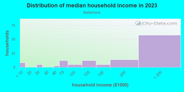 Household income distribution in 2013 in Metamora in Franklin neighborhood in MI
