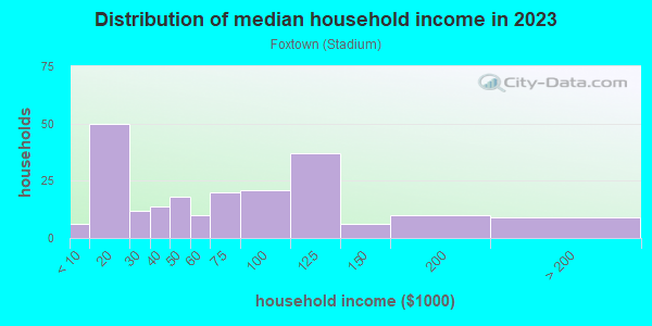 Household income distribution in 2013 in Foxtown in Detroit neighborhood in MI
