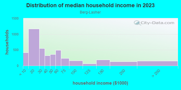 Household income distribution in 2013 in Berg-Lasher in Detroit neighborhood in MI