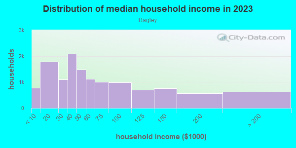 Household income distribution in 2013 in Bagley in Detroit neighborhood in MI