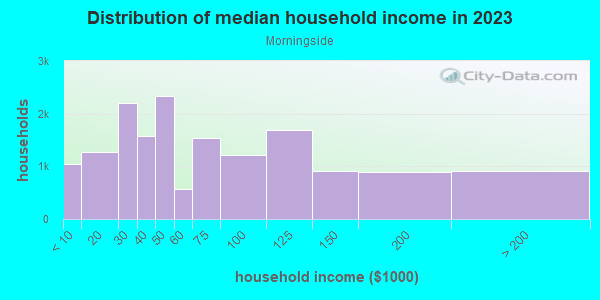 Household income distribution in 2013 in Morningside in Detroit neighborhood in MI
